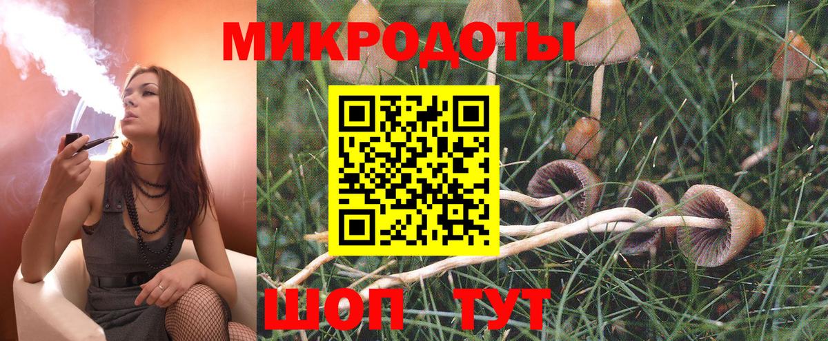 Галлюциногенные грибы Psilocybe  купить наркоту  Барабинск  Вход с VPN 